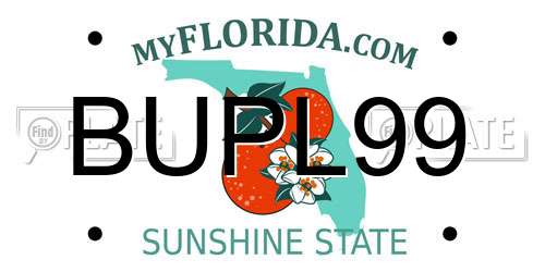 BUPL99 Florida License Plate