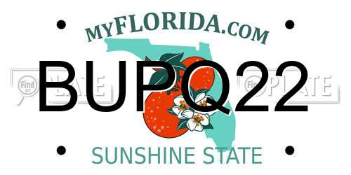 BUPQ22 Florida License Plate