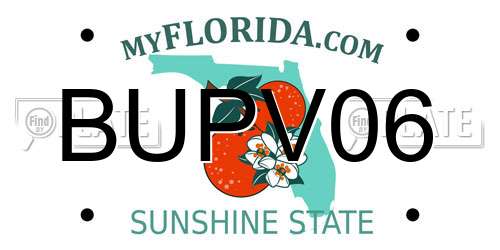 BUPV06 Florida License Plate