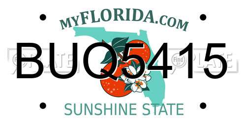 BUQ5415 Florida License Plate