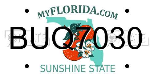 BUQ7030 Florida License Plate