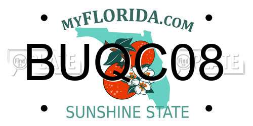 BUQC08 Florida License Plate