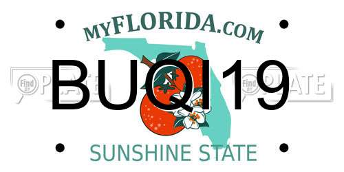 BUQI19 Florida License Plate