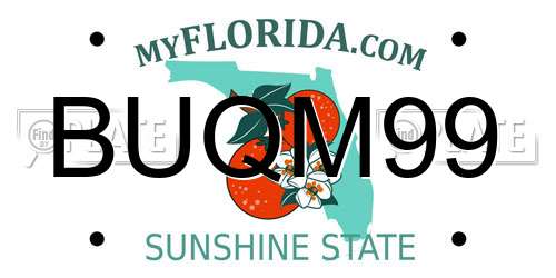 BUQM99 Florida License Plate