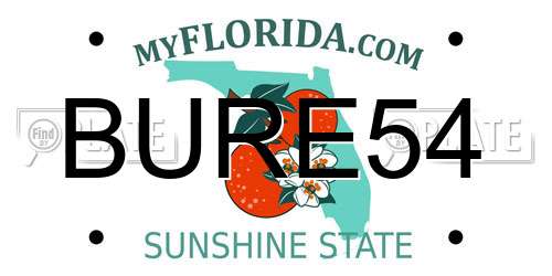 BURE54 Florida License Plate