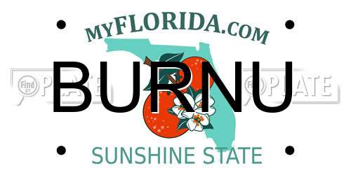 BURNU Florida License Plate