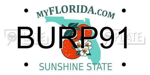 BURP91 Florida License Plate