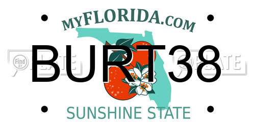 BURT38 Florida License Plate