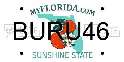 BURU46 Florida License Plate
