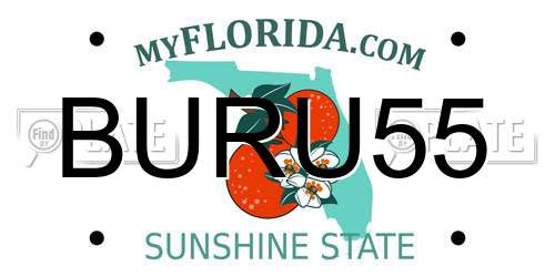 BURU55 Florida License Plate