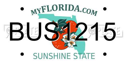 BUS1215 Florida License Plate