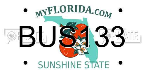 BUS133 Florida License Plate