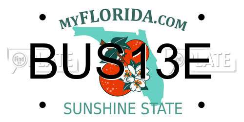 BUS13E Florida License Plate
