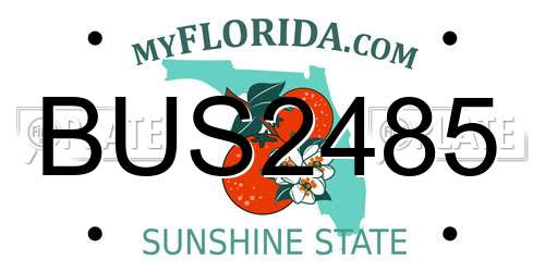 BUS2485 Florida License Plate