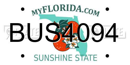 BUS4094 Florida License Plate