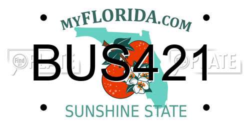 BUS421 Florida License Plate