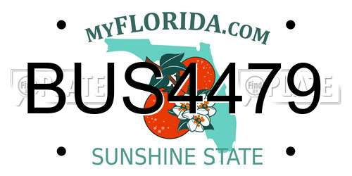 BUS4479 Florida License Plate