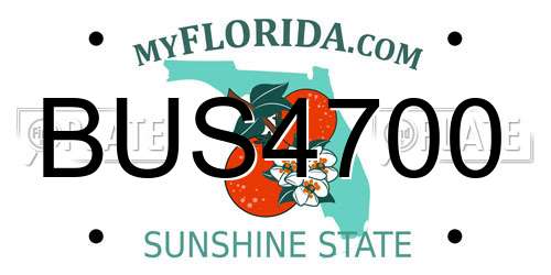 BUS4700 Florida License Plate