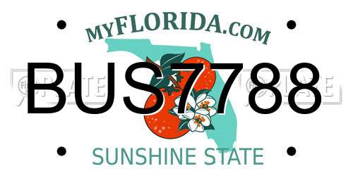 BUS7788 Florida License Plate