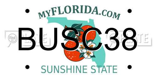 BUSC38 Florida License Plate