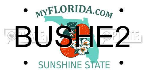 BUSHE2 Florida License Plate