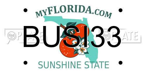 BUSI33 Florida License Plate