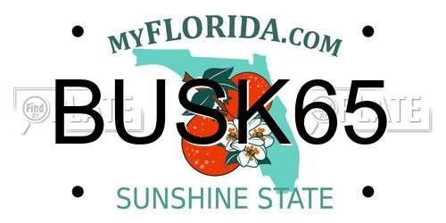 BUSK65 Florida License Plate