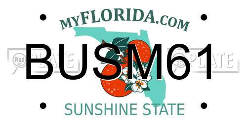BUSM61 Florida License Plate