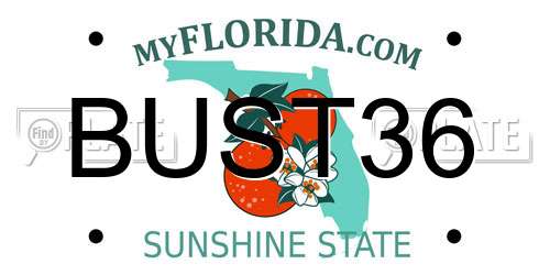 BUST36 Florida License Plate