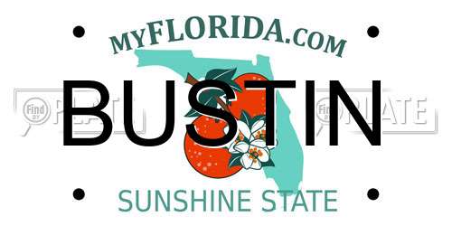 BUSTIN Florida License Plate