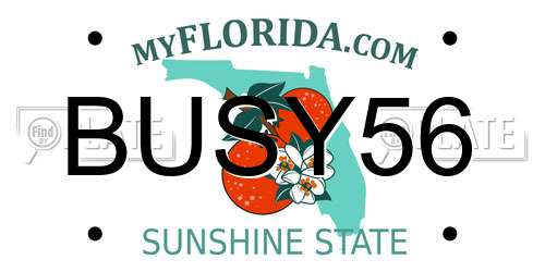 BUSY56 Florida License Plate