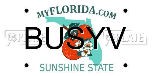 BUSYV Florida License Plate