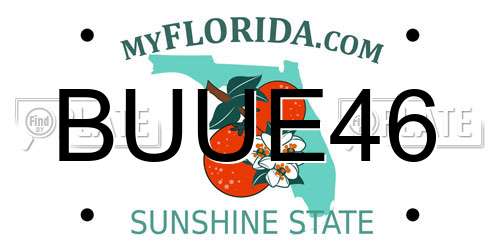 BUUE46 Florida License Plate