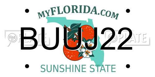 BUUJ22 Florida License Plate