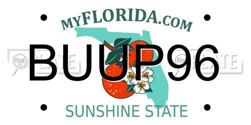 BUUP96 Florida License Plate