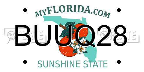 BUUQ28 Florida License Plate