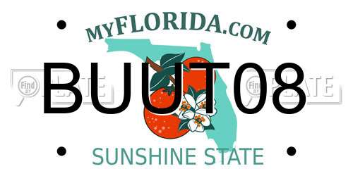 BUUT08 Florida License Plate