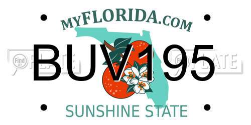 BUV195 Florida License Plate