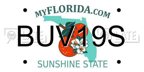 BUV19S Florida License Plate