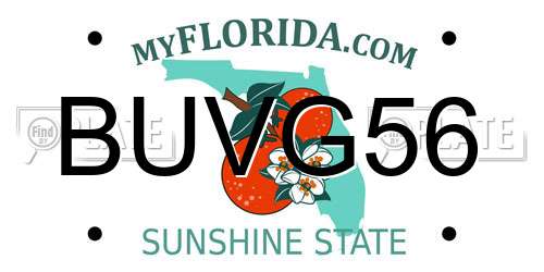BUVG56 Florida License Plate