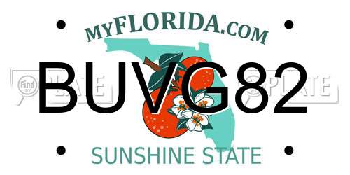 BUVG82 Florida License Plate