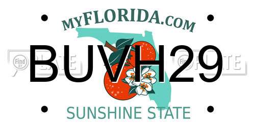BUVH29 Florida License Plate