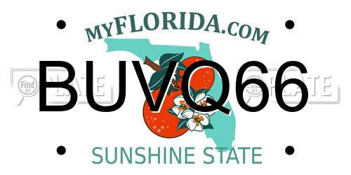 BUVQ66 Florida License Plate