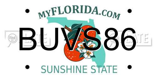 BUVS86 Florida License Plate