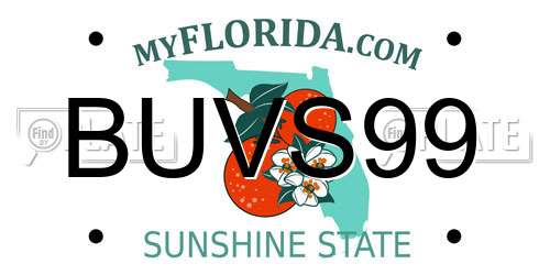 BUVS99 Florida License Plate