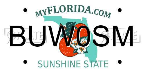 BUW0SM Florida License Plate