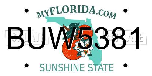 BUW5381 Florida License Plate