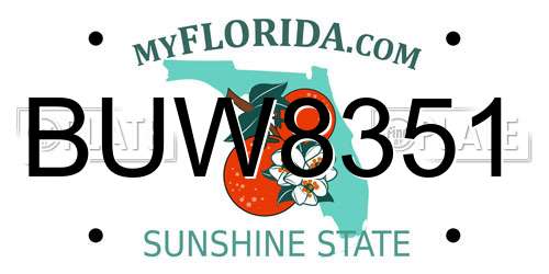 BUW8351 Florida License Plate
