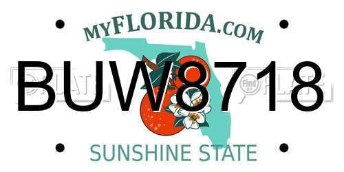 BUW8718 Florida License Plate