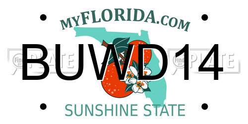 BUWD14 Florida License Plate